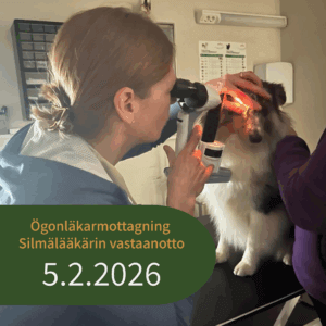 Ögonläkarmottagning Silmälääkärinvastaanotto (2)